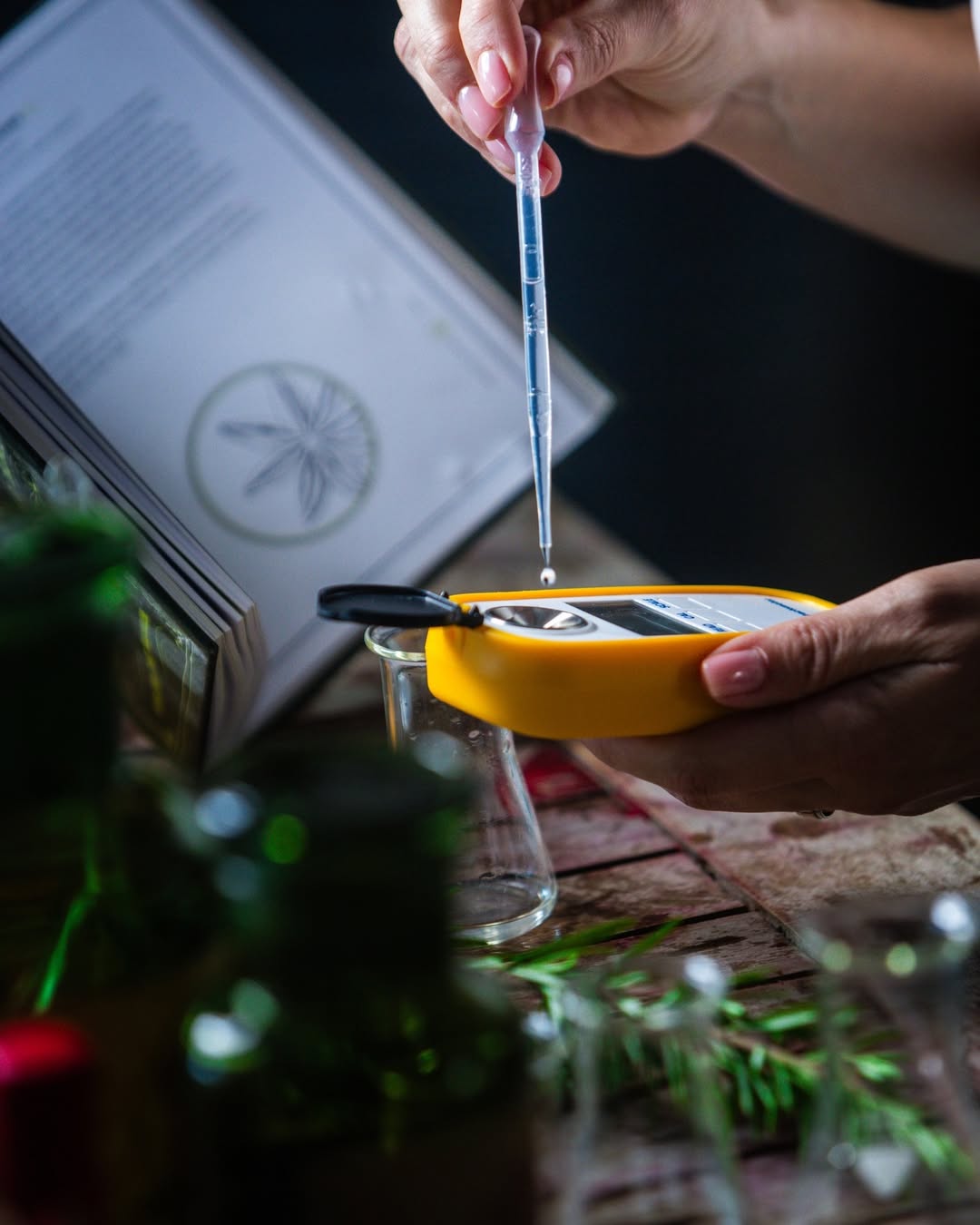 Poetica Gin — fotografija 2